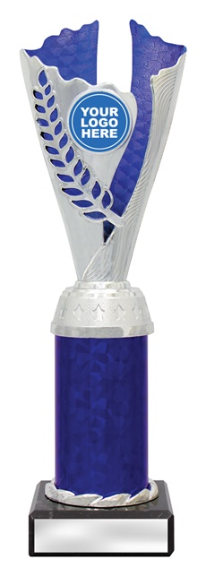 df4333_discount-dance-trophies.jpg
