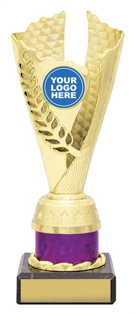 df4338_discount-dance-trophies.jpg