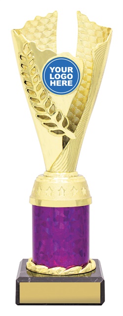 df4338_discount-dance-trophies.jpg