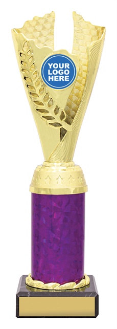 df4338_discount-dance-trophies.jpg