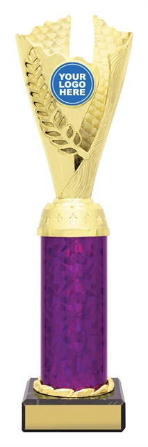 df4338_discount-dance-trophies.jpg