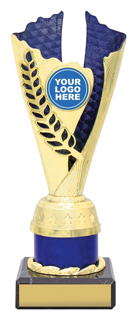 df4343_discount-dance-trophies.jpg