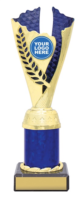 df4343_discount-dance-trophies.jpg