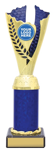 df4343_discount-dance-trophies.jpg