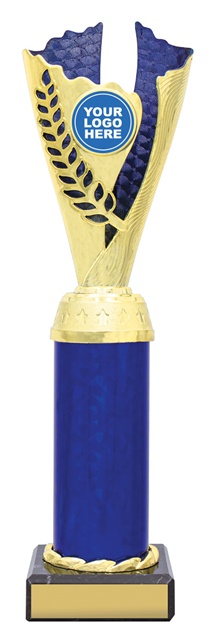 df4343_discount-dance-trophies.jpg
