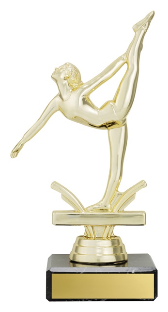 df4385_discount-dance-trophies.jpg