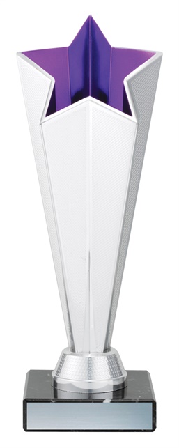 df4489_discount-dance-trophies.jpg