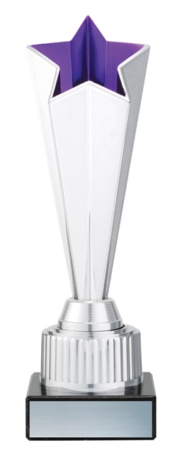 df4489_discount-dance-trophies.jpg