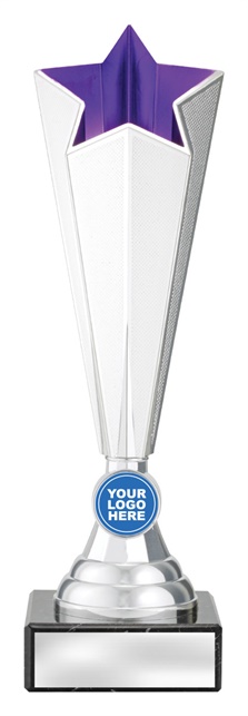 df4501_discount-dance-trophies.jpg