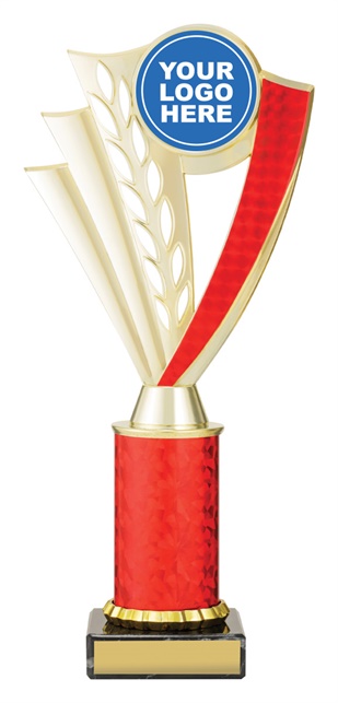 df4673_discount-dance-trophies.jpg