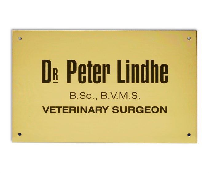 dp-brass-ss_brass-stainless-steel-doctor-plaque.jpg