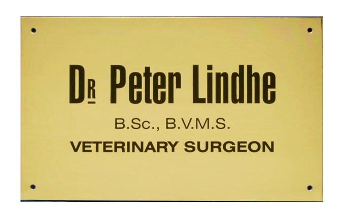 dp2_1-brass_doctors-plaque-copy.jpg