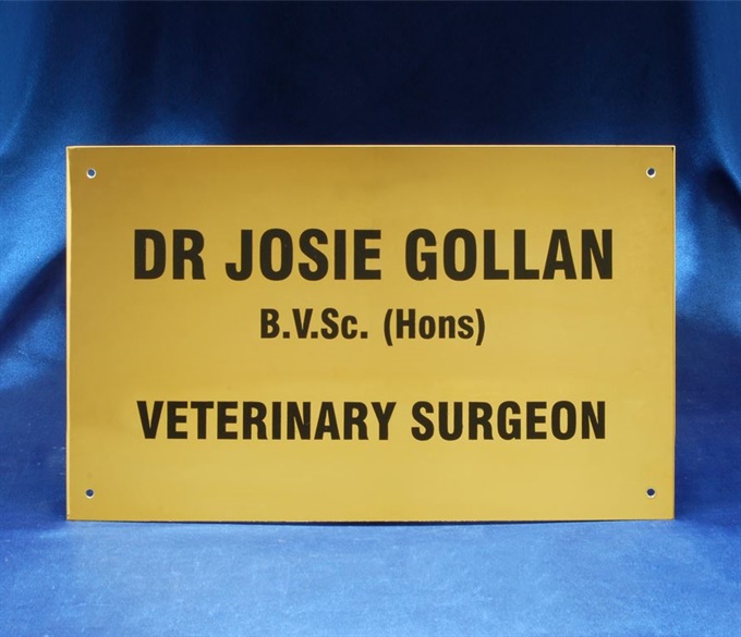 dp2_1-brass_doctors-plaque-copy.jpg