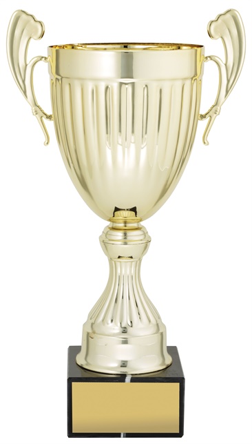 ec01a_discount-cups-trophies.jpg