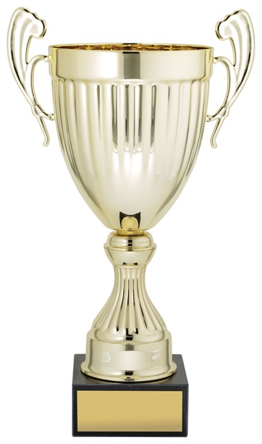 ec01a_discount-cups-trophies.jpg