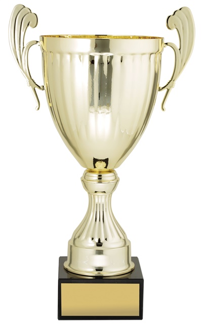 ec01a_discount-cups-trophies.jpg