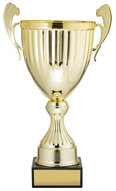 ec01a_discount-cups-trophies.jpg