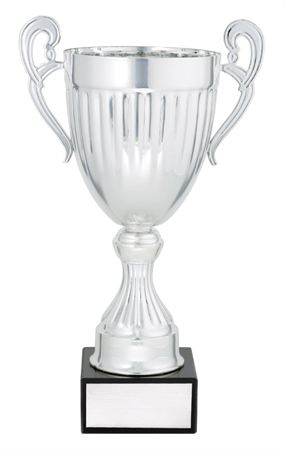 ec02a_discount-cups-trophies.jpg