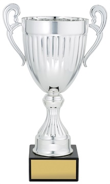 ec02a_discount-cups-trophies.jpg
