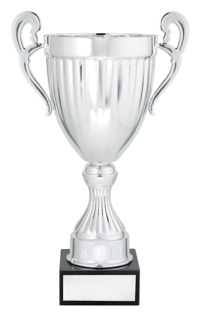 ec02a_discount-cups-trophies.jpg