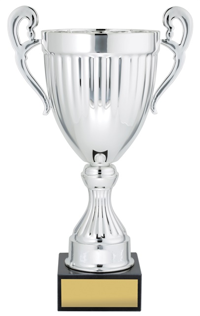 ec02a_discount-cups-trophies.jpg