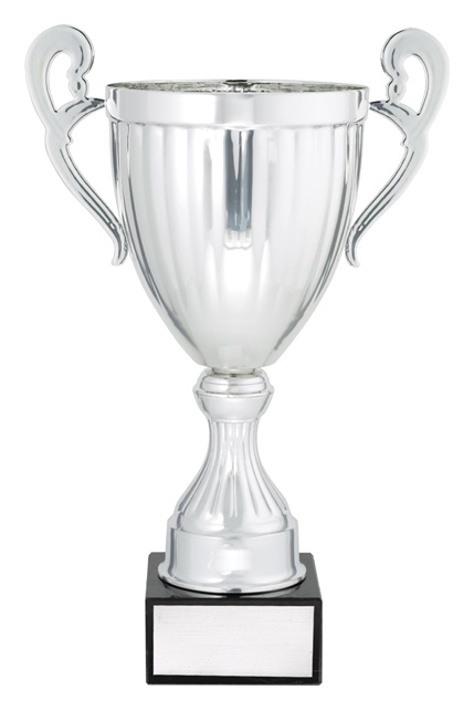 ec02a_discount-cups-trophies.jpg