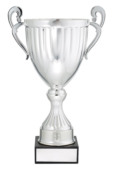 ec02a_discount-cups-trophies.jpg