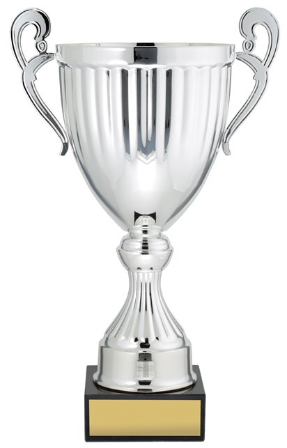 ec02a_discount-cups-trophies.jpg