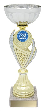 ec05a_discount-general-sports-trophies.jpg