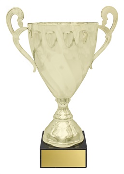 ec06a_discount-cup-trophies.jpg