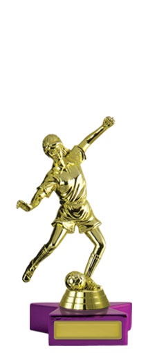 f142015_discounted-soccer-trophies.jpg