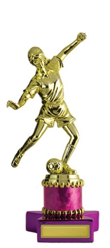 f142015_discounted-soccer-trophies.jpg