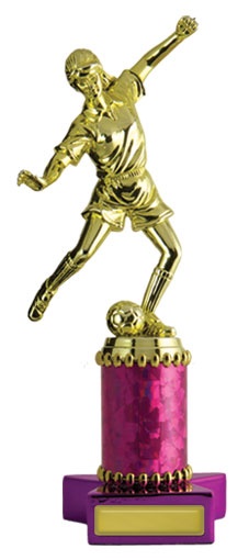 f142015_discounted-soccer-trophies.jpg