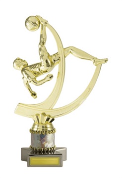 f18-2302_discount-football-soccer-trophies.jpg