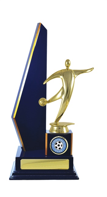 f18-2507_discount-football-soccer-trophies.jpg