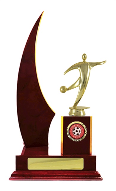 f18-2615_discount-football-soccer-trophies.jpg