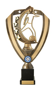 f19-2702_discount-soccer-football-trophies.jpg