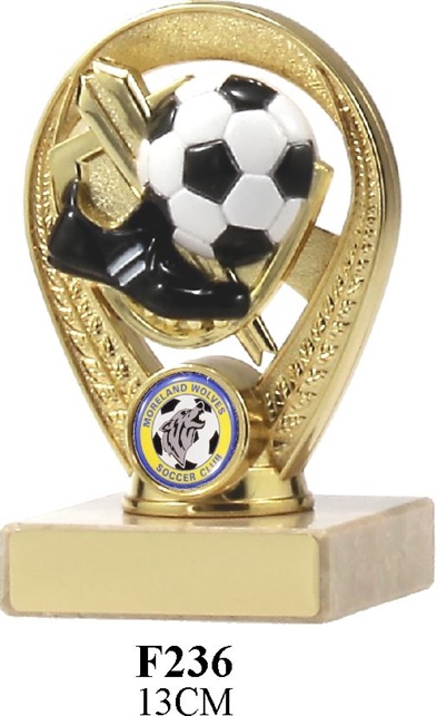 f237_soccer-trophies.jpg