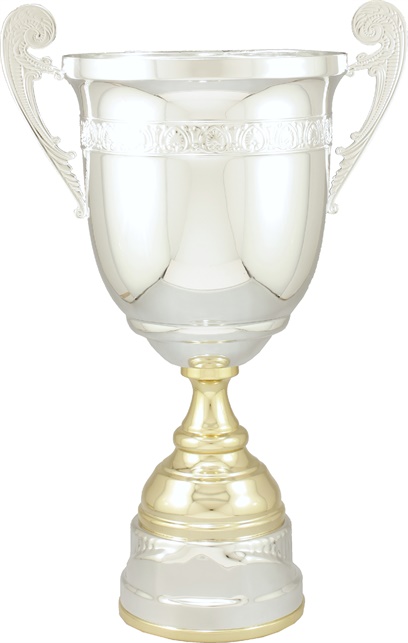 f4120_discounted-soccer-trophies.jpg