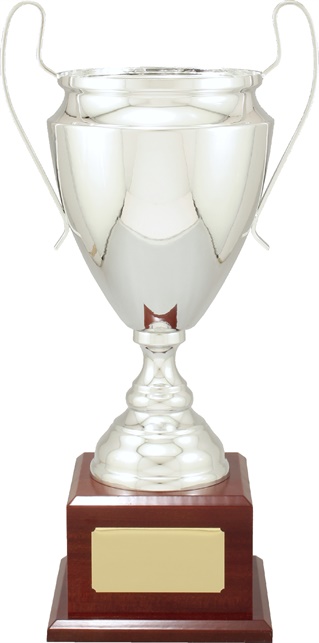 f4124_discounted-soccer-trophies.jpg