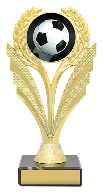 f4138_discount-soccer-football-trophies.jpg
