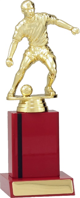 f7109_discount-soccer-and-football-trophies.jpg