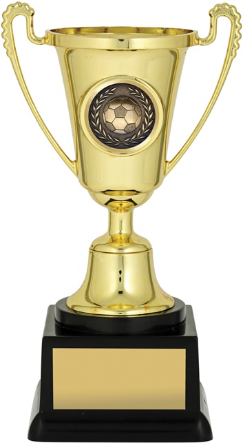 f8018_discount-soccer-football-trophies.jpg