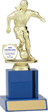 f8048_discount-soccer-football-trophies.jpg