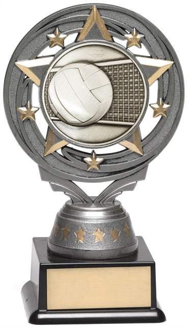 ft227a_discount-volleyball-trophies.jpg