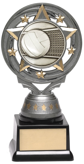 ft227a_discount-volleyball-trophies.jpg