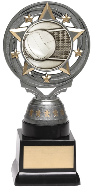 ft227a_discount-volleyball-trophies.jpg