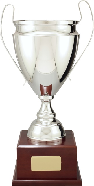 g4029_discounted-golf-trophies.jpg
