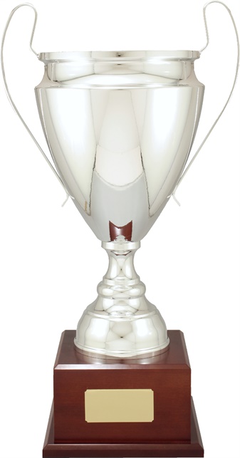 g4029_discounted-golf-trophies.jpg