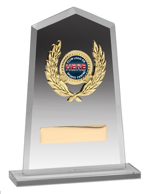 ga806_discount-glass-trophies.jpg